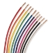 Primary Wire