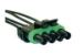 Weather Pack Pigtail Quad-Cavity Male Shroud